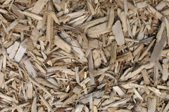 biomass boilers Common Y Coed